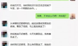 卓伟爆料相关视频大全集,揭秘娱乐圈幕后真相